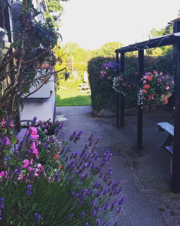 The Badger Inn Carbis Bay Exterior photo